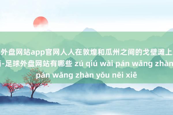 足球外盘网站app官网人人在敦煌和瓜州之间的戈壁滩上发现了竹简、木简-足球外盘网站有哪些 zú qiú wài pán wǎng zhàn yǒu něi xiē