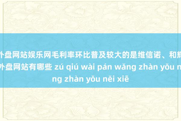 足球外盘网站娱乐网毛利率环比普及较大的是维信诺、和辉光电-足球外盘网站有哪些 zú qiú wài pán wǎng zhàn yǒu něi xiē